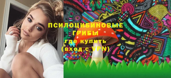 Альфа ПВП Алзамай